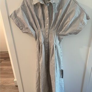 Anthropologie Tobie Button-Front Pleated Shirt Dress